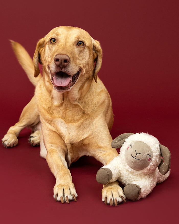 Sheep themed pet toy designed for interactive play and enrichment fun. Updated May 2026.
